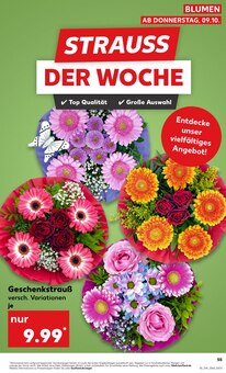 Pflanzen im aktuellen Kaufland Prospekt (Saarbrücken) Pflanzen im Kaufland Prospekt "Aktuelle Angebote" mit 63 Seiten (Saarbrücken)