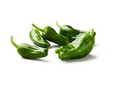 Aktuelles Grüne Paprika Angebot bei Lidl in Magdeburg ab 1,99 €