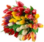 Tulpen Angebote von REWE Regional bei REWE Dorsten für 3,33 €