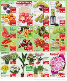 Farbe Angebot & Preis im aktuellen Kaufland Prospekt Farbe Angebot im aktuellen Kaufland Prospekt auf Seite 21