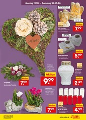 Garten im Netto Marken-Discount Prospekt in Rosenheim Aktueller Netto Marken-Discount Prospekt mit Garten, "Aktuelle Angebote", Seite 11