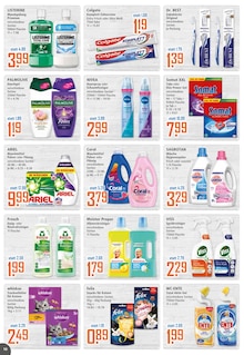 Katzenfutter im aktuellen K+K - Klaas & Kock Prospekt (Münster) Katzenfutter im K+K - Klaas & Kock Prospekt "Wenn Lebensmittel, dann K+K" mit 12 Seiten (Münster)