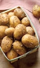Pomme de Terre Primeur - Intermarché à Grenoble Pomme de Terre Primeur en promo chez Intermarché Grenoble à 3,39 €