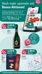 REWE Alkoholische Getraenke im Prospekt 