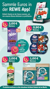 Aktueller REWE Schwerte Prospekt "Dein Markt" mit 30 Seiten