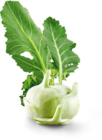 Kohlrabi im Angebot bei Netto Marken-Discount in Koblenz Kohlrabi Angebote von Heimat bei Netto Marken-Discount Koblenz für 0,69 €