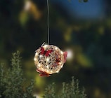 Aktuelles Solar LED Drahtkugel Angebot bei Netto Marken-Discount in Dortmund ab 4,99 €