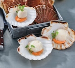 Coquilles saint jacques en promo chez Intermarché Hyper Angers à 4,99 €