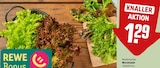 Wurzelsalat Angebote bei REWE Maintal für 1,29 €