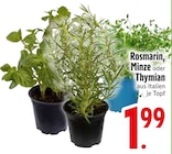 Rosmarin Angebote bei EDEKA Ingolstadt für 1,99 €