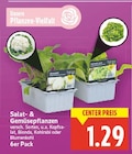 Salat- & Gemüsepflanzen im aktuellen E center Prospekt