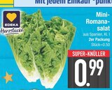 Mini-Romanasalat bei E center im Sankt Englmar Prospekt für 0,99 €
