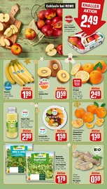 Aktueller REWE Prospekt mit Bananen, "Dein Markt", Seite 8