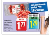 EDEKA Weiden - Mini Pflaumen-tomaten Angebot im Prospekt Mini Pflaumen-tomaten bei EDEKA im Weiden Prospekt für 1,29 €