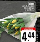 Aktuelles Tulpen Angebot bei EDEKA in Osnabrück ab 4,44 €