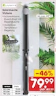 Solardusche im Netto Marken-Discount Prospekt Solardusche Victoria im aktuellen Netto Marken-Discount Prospekt für 79,99 €