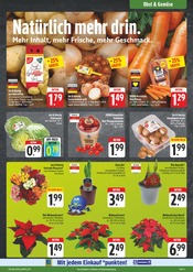 Ähnliche Angebote wie Zitronenbaum im Prospekt "Wir lieben Lebensmittel!" auf Seite 3 von EDEKA in Erlangen