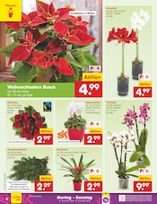 Aktueller Netto Marken-Discount Prospekt mit Orchidee, "Aktuelle Angebote", Seite 6