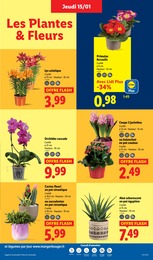 Offre Pot dans le catalogue Lidl du moment à la page 27