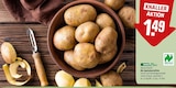 Bio Speisekartoffeln Angebote von REWE Bio bei REWE Kassel für 1,49 €