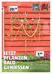 Aktueller Moubis Pflanzenhof Prospekt mit Obstbaum, "MACH DEINEN GARTEN HERBST-FIT", Seite 2