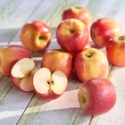 Pomme Pink Lady Bio - SANS dans le catalogue Carrefour