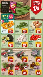 Ähnliche Hibiskus Angebote im Prospekt "Dein Markt" von REWE in Erfurt Ähnliche Angebote wie Hibiskus im Prospekt "Dein Markt" auf Seite 9 von REWE in Erfurt