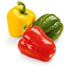 Aktuelles Paprika-Mix Angebot bei Netto Marken-Discount in Moers ab 2,29 €