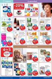 Hundefutter Angebot im aktuellen BUDNI Prospekt auf Seite 5