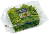 EDEKA Plön - Feldsalat Angebot im Prospekt Feldsalat bei EDEKA im Plön Prospekt für 1,29 €