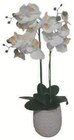 Orchidée artificielle en promo chez Super U Calais à 14,99 €