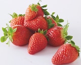 Supermarchés Match Meaux - Promo Fraise Ronde Promo Fraise Ronde à 3,79 € dans le catalogue Supermarchés Match à Meaux