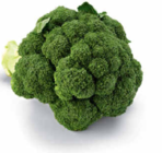 Broccoli Angebote bei Netto Marken-Discount Hamburg für 1,00 €