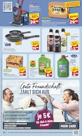 Pflanzen im combi Prospekt in Hameln Aktueller combi Prospekt mit Pflanzen, "Markt - Angebote", Seite 24