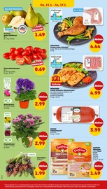 Aktueller Penny Prospekt mit Tomaten, "Wer günstig will, muss Penny.", Seite 32