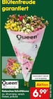 Kalanchoe Schnittblume im Angebot bei Netto Marken-Discount in Mettmann Kalanchoe Schnittblume Angebote von Queen bei Netto Marken-Discount Mettmann für 6,99 €
