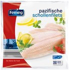 Schollenfilet im Angebot bei REWE in Wunstorf Schollenfilet Angebote von Femeg bei REWE Wunstorf für 6,99 €