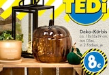 Deko-Kürbis im Angebot bei TEDi in Weinheim Deko-Kürbis Angebote bei TEDi Weinheim für 8,00 €