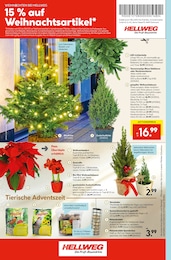 Lichterkette Angebot & Preis im aktuellen Hellweg Prospekt Lichterkette Angebot im aktuellen Hellweg Prospekt auf Seite 20