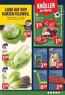 Tomaten im aktuellen E center Prospekt (Krefeld) Tomaten im E center Prospekt "Aktuelle Angebote" mit 24 Seiten (Krefeld)