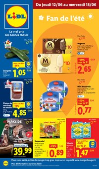 Prospectus Lidl de la semaine "Fan de l'été" avec 1 pages, valide du 12/06/2025 au 18/06/2025 pour Ozoir-la-Ferrière et alentours