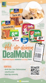 Katzenfutter im EDEKA Prospekt in Ahlen Aktueller EDEKA Prospekt mit Katzenfutter, "Aktuelle Angebote", Seite 21