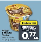 5 Minuten Terrine Angebote von Maggi bei combi Dülmen für 0,77 €