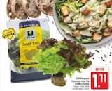 EDEKA - Fränkisches Salat Trio Angebot im Prospekt Fränkisches Salat Trio bei EDEKA im Prospekt "" für 1,11 €