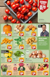 Aktueller REWE Prospekt mit Zimmerpflanzen, "Dein Markt", Seite 7