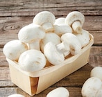 Champignon Blanc à Netto dans Saint-André-le-Puy