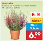 Aktuelles Besenheide Angebot bei Netto Marken-Discount in Erlangen ab 6,99 €