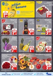 Ähnliche Angebote wie Zitronenbaum im Prospekt "Top Angebote" auf Seite 3 von EDEKA in Hamburg