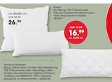 Aktuelle Kissen Angebote bei Möbel Martin in Wiesbaden Aktuelles Kissen Angebot bei Möbel Martin in Wiesbaden ab 16,99 €