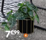 B&M - Cache-pot : offre du catalogue Promo Cache-pot à 7,99 € dans le catalogue B&M ""